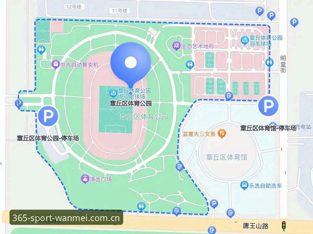 完美体育官网下载完整指南：365WMPO版本功能解析与使用攻略
